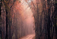 开云体育直播-包含莱比锡红牛绝杀挪威，格列兹曼带队取胜的词条