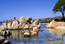 开云体育直播-包含莱比锡红牛绝杀挪威，格列兹曼带队取胜的词条