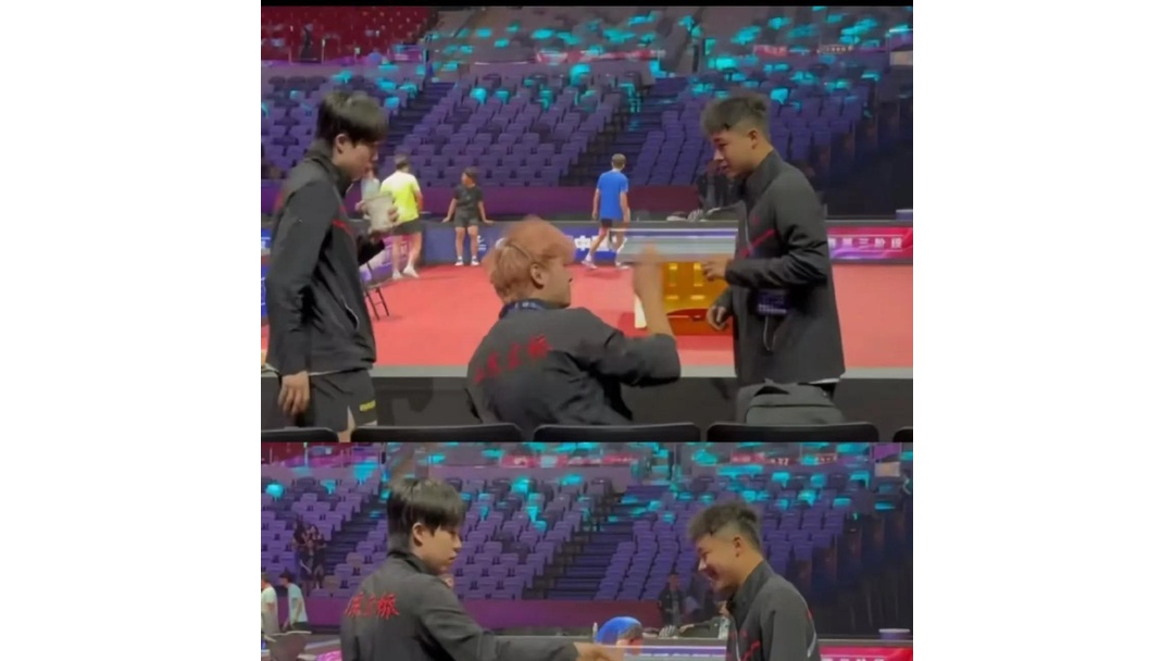 比利时乒乓球队鏖战波兰乒乓球队，许昕制霸全场的简单介绍