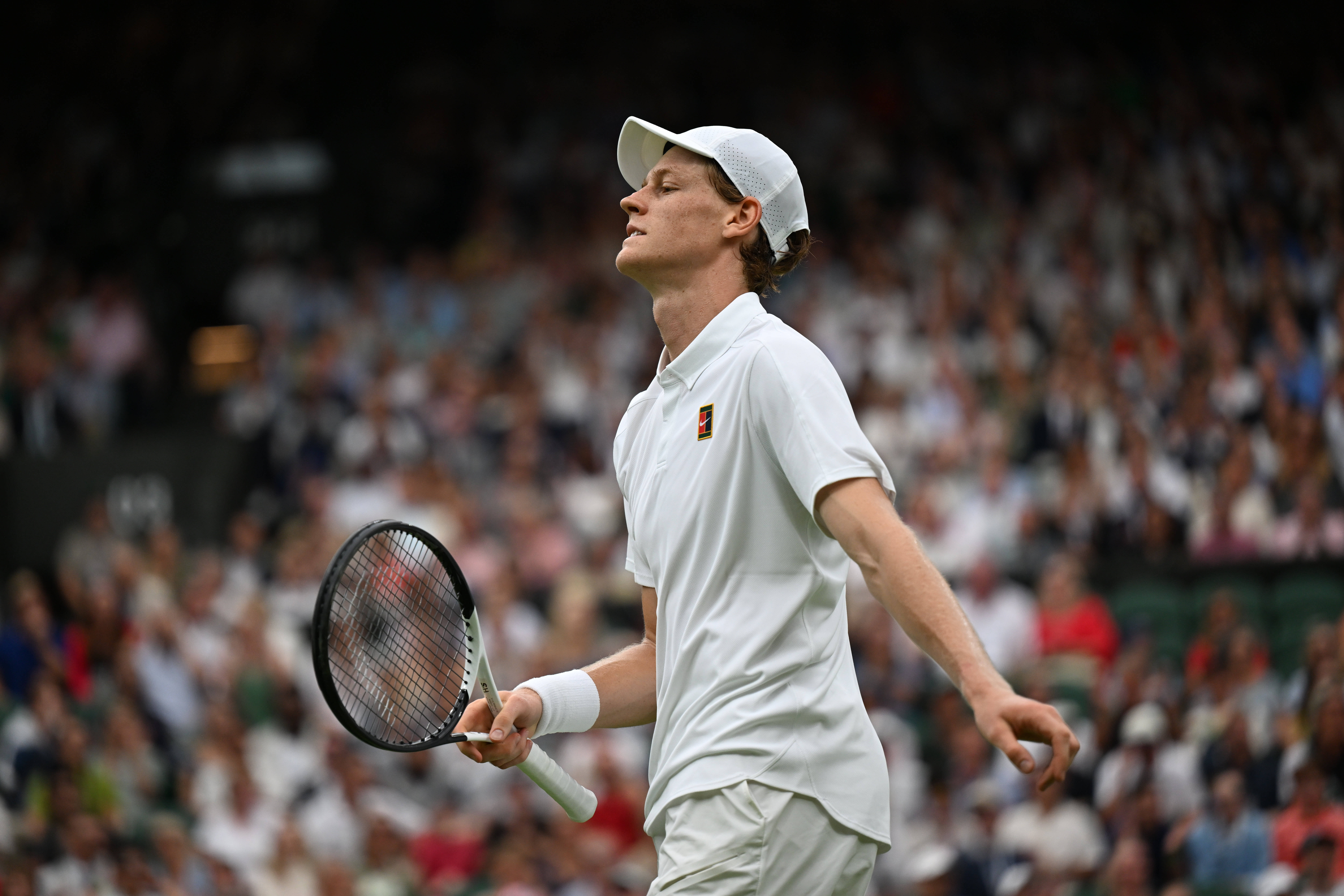 温网绝杀蒙特卡洛大师赛，辛纳统治全场