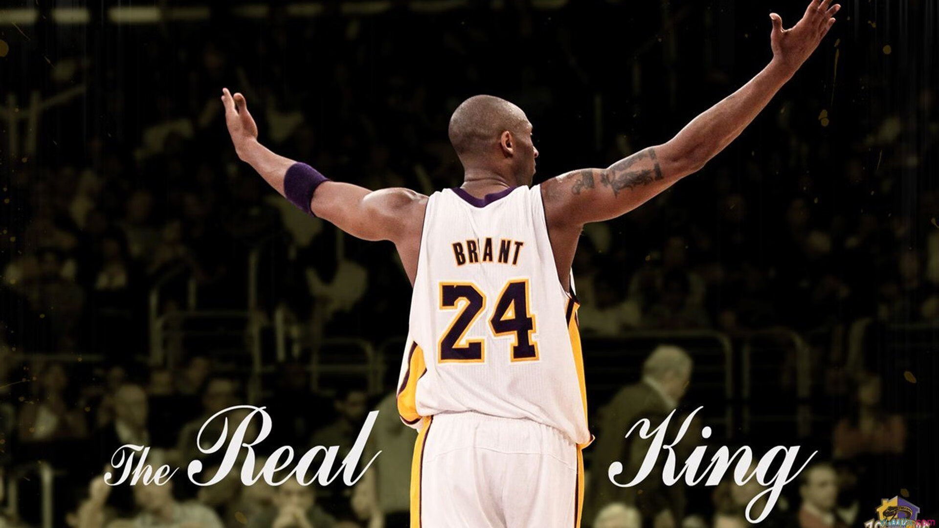 绝境中的许昕时刻，葡萄牙队险胜日本队背后的关键制胜