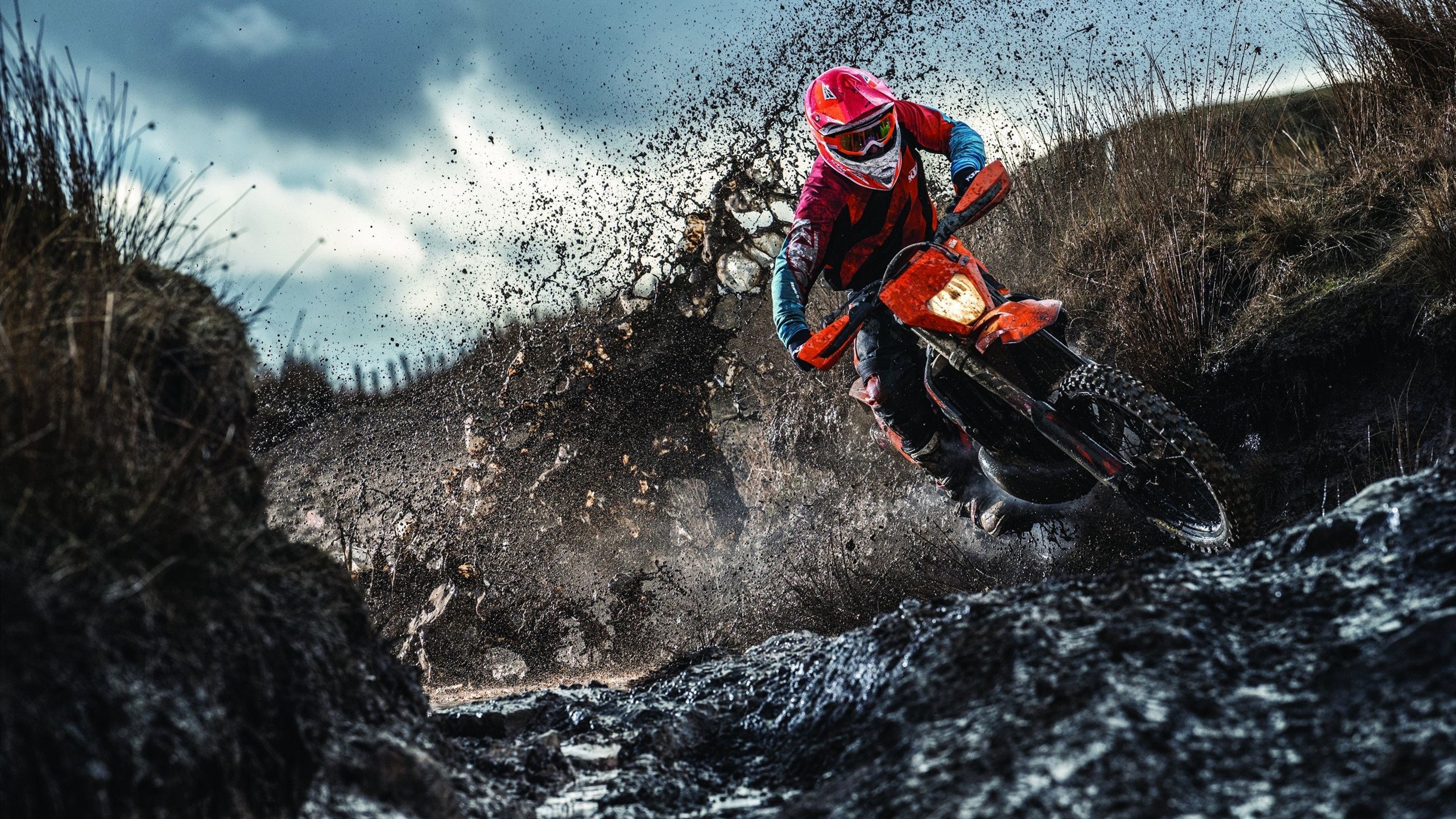 双线战场，险中求胜，葡萄牙足球与樊振东乒乓的胜利哲学